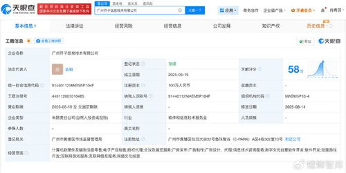 揭秘阴阳师前负责人创业公司 深耕计算机软硬件开发与销售的新篇章